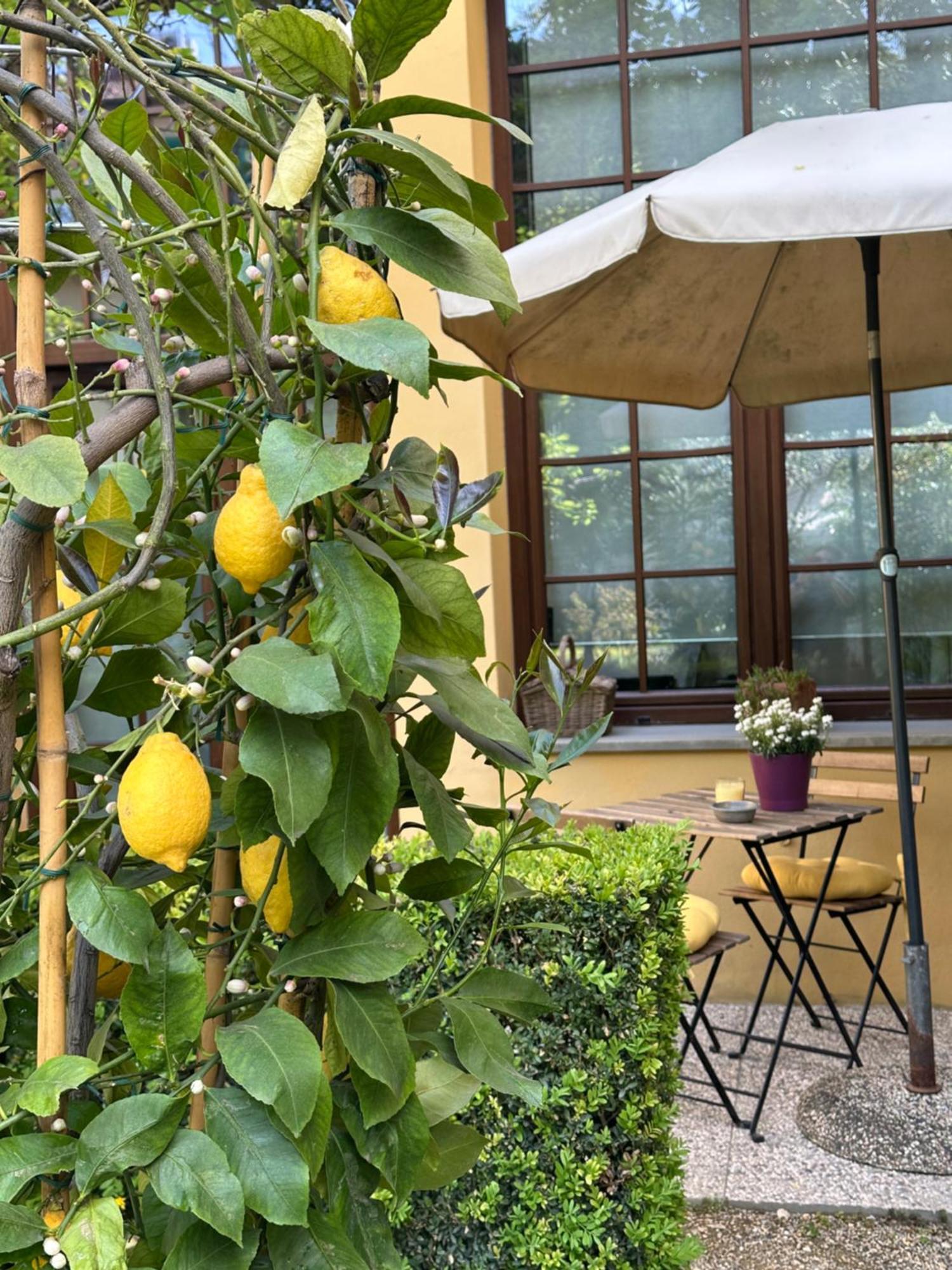Apartamento La Limonaia *