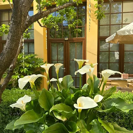 La Limonaia Firenze Appartement Buitenkant foto