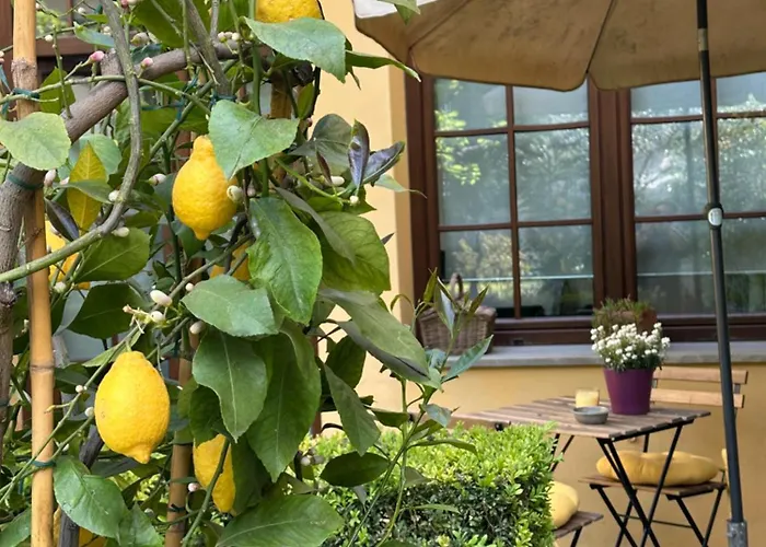 La Limonaia Firenze